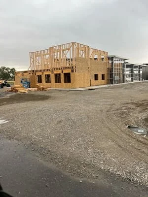 Steel frame structure for commercial building with columns, beams, and roof framing